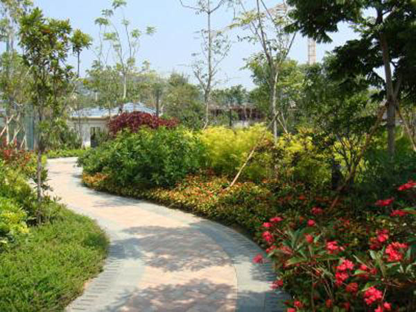 �Ƶ�G������