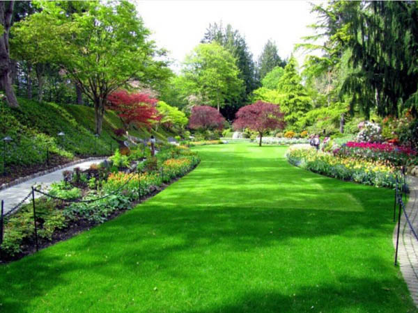 ���@�G���B�o