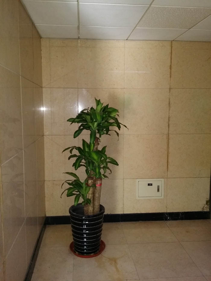 �r��֮����Է������[