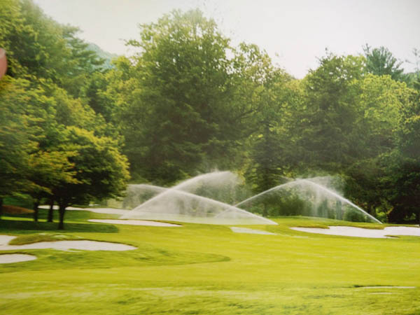 夏季園林綠化養護如何做