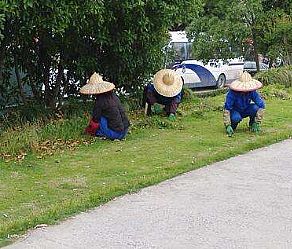 С�^(q��)�G�����B(y��ng)�o(h��)