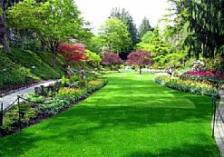 ���@�G���B(y��ng)�o(h��)