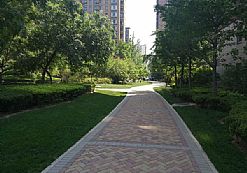 С�^(q��)�G���B(y��ng)�o(h��)