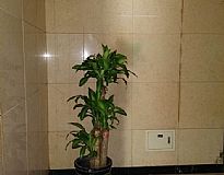 �r(sh��)��֮����Է������[