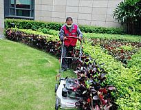 ��ƺ�޼����I(y��)